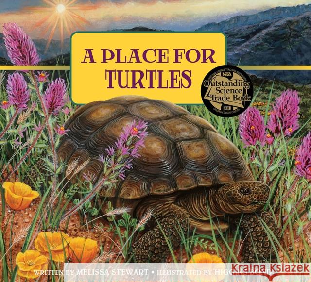 A Place for Turtles Melissa Stewart Higgins Bond 9781682630976 Peachtree Publishers - książka