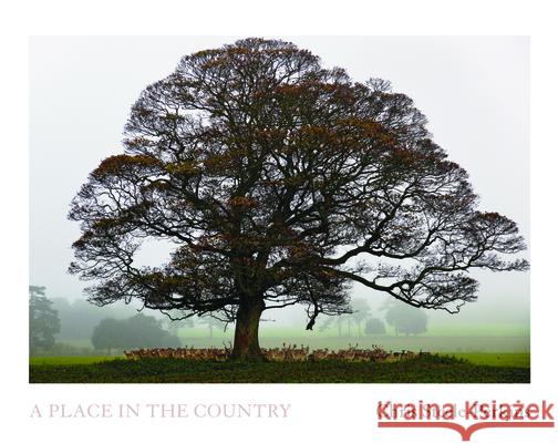 A Place in the Country: A Year in the Life of Holkham Estate Steele-Perkins, Chris 9781907893629 DEWI LEWIS - książka