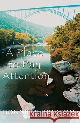 A Place to Pay Attention Thurston, Bonnie 9781909077393 Cinnamon Press - książka