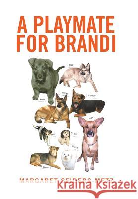 A Playmate for Brandi Margaret Seiders-Metz 9781524572549 Xlibris - książka