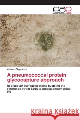 A pneumococcal protein glycocapture approach Olaya Abril, Alfonso 9786202101806 Editorial Académica Española - książka