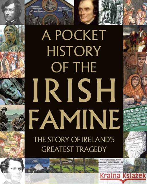 A Pocket History of the Irish Famine  9780717179442 Gill & Co. - książka