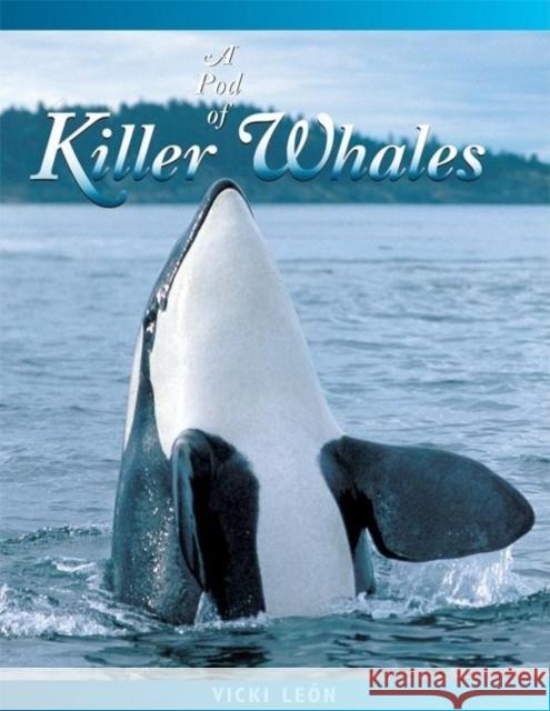 A Pod of Killer Whales: The Mysterious Life of the Intelligent Orca Vicki Leon 9780976613473 London Town Press - książka