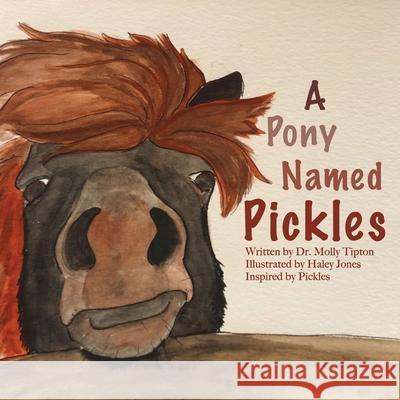 A Pony Named Pickles Dr Molly Tipton, Haley Jones 9781633021860 Total Publishing and Media - książka