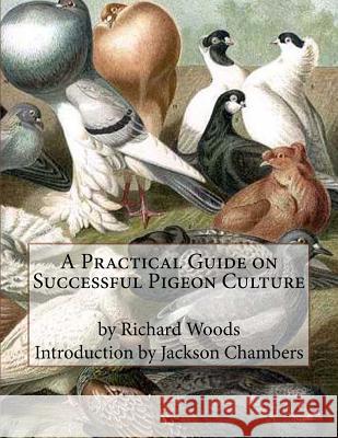 A Practical Guide on Successful Pigeon Culture Richard Woods Jackson Chambers 9781533548993 Createspace Independent Publishing Platform - książka