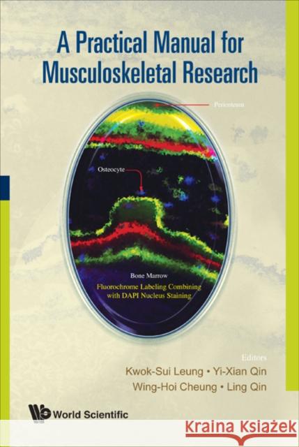 A Practical Manual for Musculoskeletal Research Leung, Kwok Sui 9789812706102 World Scientific Publishing Company - książka