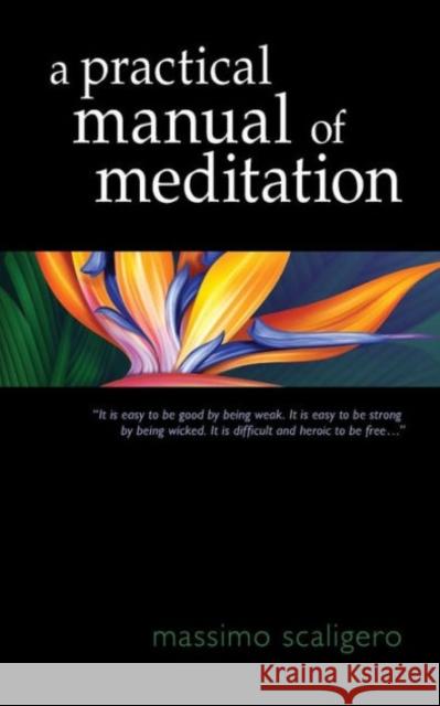 A Practical Manual of Meditation Massimo Scaligero Eric Bisbocci 9781584201908 Lindisfarne Books - książka