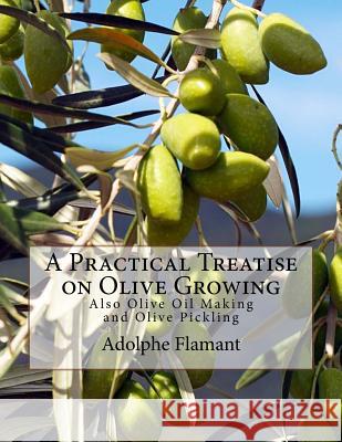 A Practical Treatise on Olive Growing: Also Olive Oil Making and Olive Pickling Adolphe Flamant Roger Chambers 9781985078963 Createspace Independent Publishing Platform - książka