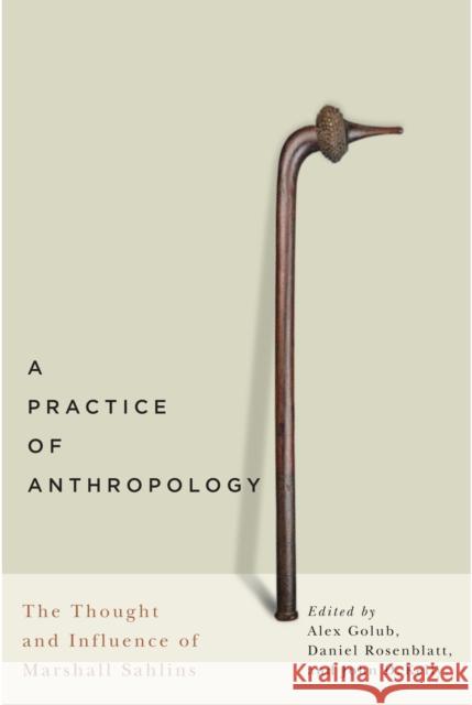 A Practice of Anthropology: The Thought and Influence of Marshall Sahlins Alex Golub Daniel Rosenblatt John D., IV Kelly 9780773546882 McGill-Queen's University Press - książka