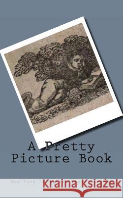 A Pretty Picture Book New York Religious Tract Society 9781480017672 Createspace - książka