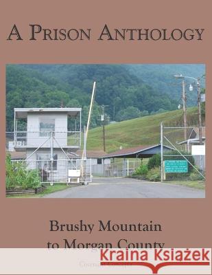 A Prison Anthology: Brushy Mountain to Morgan County Garry William Johnson 9781735450728 Covenant Concepts - książka