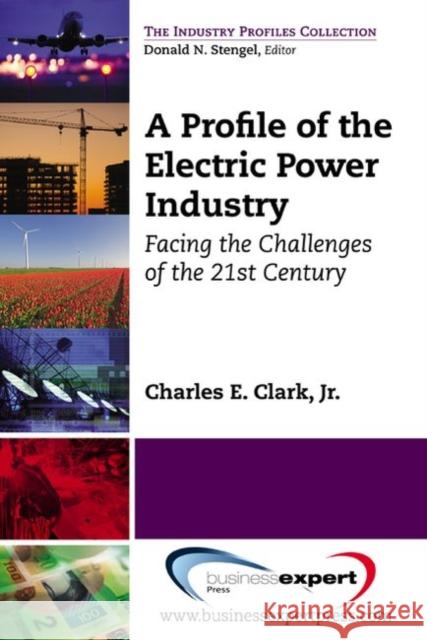 A Profile of the Electric Power Industry: Facing the Challenges of the 21st Century Clark, Charles E. 9781606493830  - książka