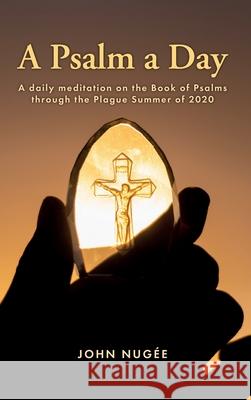 A Psalm a Day: A daily meditation on the Book of Psalms through the Plague Summer of 2020 Nug 9781916387379 Self Publishing House - książka