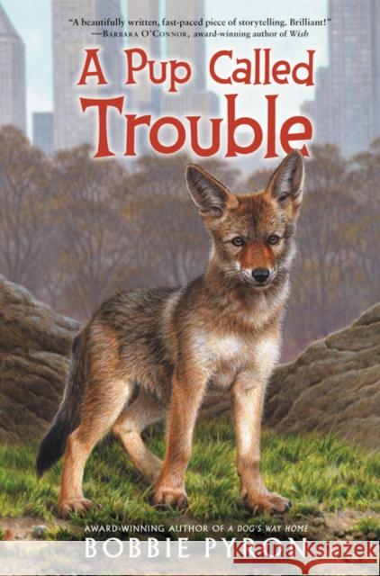 A Pup Called Trouble Bobbie Pyron 9780062685223 Katherine Tegen Books - książka