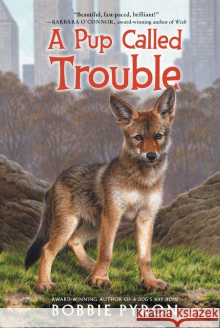 A Pup Called Trouble Bobbie Pyron 9780062685230 Katherine Tegen Books - książka
