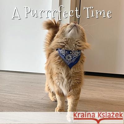 A Purrrfect Time Sam Miller 9781777303808 Armed Bandit Publishing - książka