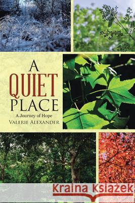 A Quiet Place: A Journey of Hope Valerie Alexander 9781512743302 WestBow Press - książka