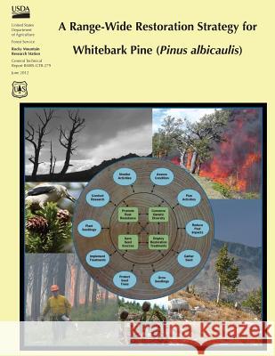 A Range-Wide Restoration Strategy for Whitebark Pine (Pinus Albicaulis) U. S. Department of Agriculture Forest Service 9781480147058 Createspace - książka