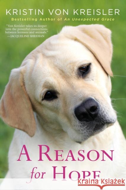 A Reason for Hope Kristin von Kreisler 9781496737335 Kensington Publishing - książka