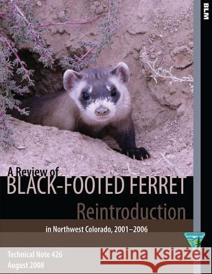 A Review of Black- Footed Ferret Reintroduction in Northwest Colorado,2001-2006 Bureau of Land Management 9781505300338 Createspace - książka