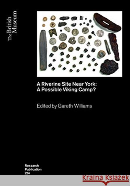 A Riverine Site Near York: A Possible Viking Camp? Gareth Williams 9780861592241 British Museum Press - książka