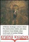 A Roman Drainage Culvert, Great Fire Destruction Debris and Other Evidence from Hillside Sites North-East of London Bridge: Excavations at Monument Ho Blair, Ian 9781901992694 Museum of London Archaeological Service