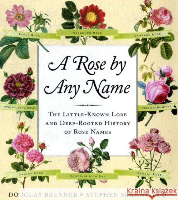 A Rose by Any Name Douglas Brenner 9780709090663  - książka