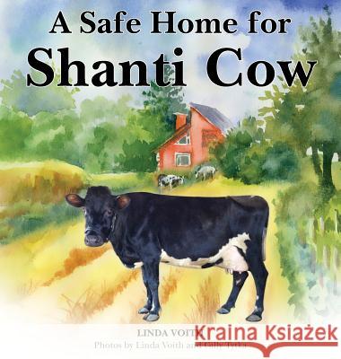 A Safe Home for Shanti Cow Linda Voith Gilly Tytka Shalini Bosbyshell 9781732846920 Govinda Goshala Cow Haven - książka