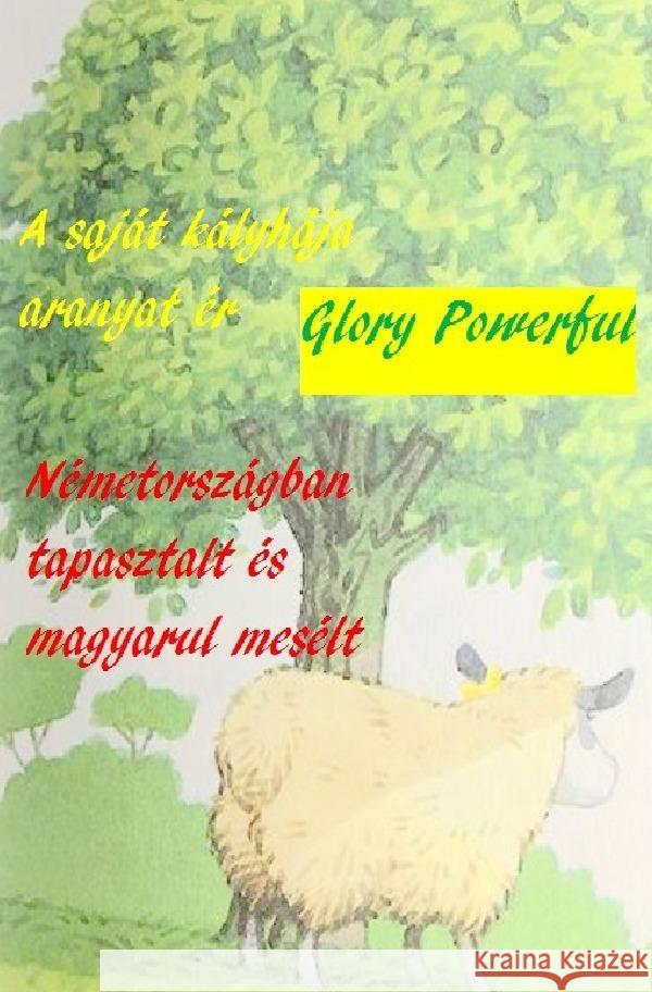 A saját kályhája aranyat ér Németországban tapasztalt és magyarul mesélt Glory, Powerful 9783754105351 epubli - książka