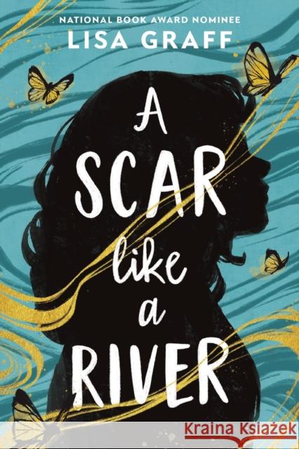 A Scar Like a River Lisa Graff 9780316570800 Christy Ottaviano Books-Little Brown and Hach - książka
