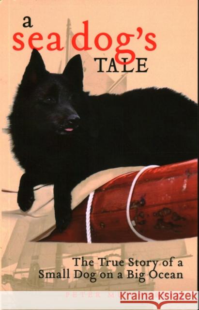 A Sea Dog\'s Tale: The True Story of a Small Dog on a Big Ocean Peter Muilenburg 9781684751310 Rowman & Littlefield - książka