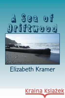 A Sea of Driftwood Elizabeth Kramer 9781512165418 Createspace Independent Publishing Platform - książka