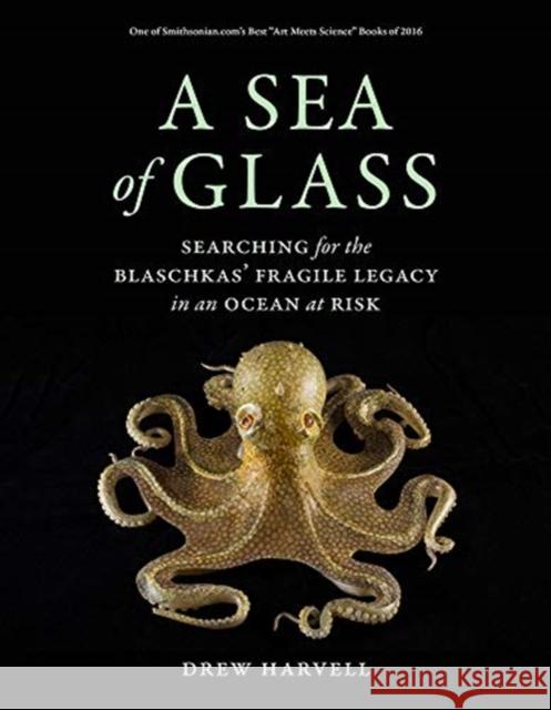 A Sea of Glass: Searching for the Blaschkas' Fragile Legacy in an Ocean at Riskvolume 13 Harvell, Drew 9780520303577 University of California Press - książka