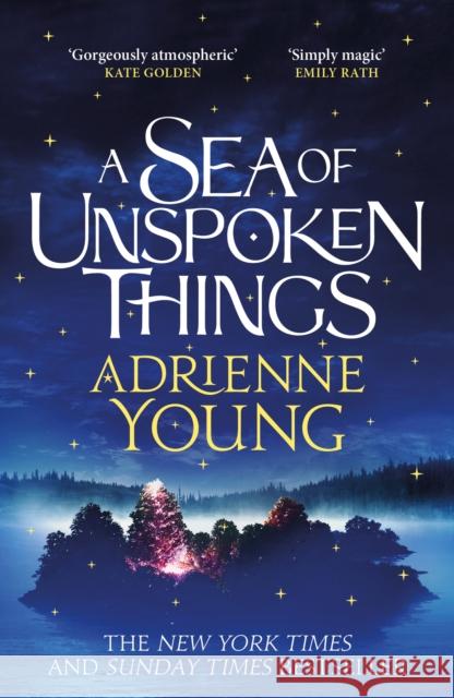 A Sea of Unspoken Things: a spellbinding mystery to lose yourself in Adrienne Young 9781529433708 Quercus Publishing - książka