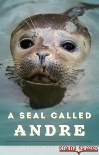 A Seal Called Andre: The Two Worlds of a Maine Harbor Seal Goodridge, Harry 9781608932955 Down East Books - książka