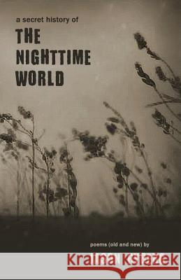 A Secret History of the Nighttime World Jason Ryberg 9781946358042 39 West Press - książka