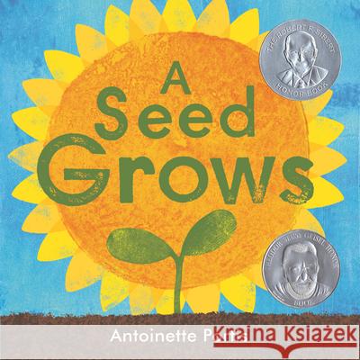 A Seed Grows Antoinette Portis Antoinette Portis 9780823462612 Neal Porter Books - książka