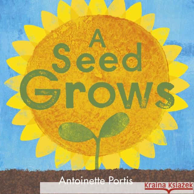 A Seed Grows Antoinette Portis 9781836300076 Scallywag Press - książka