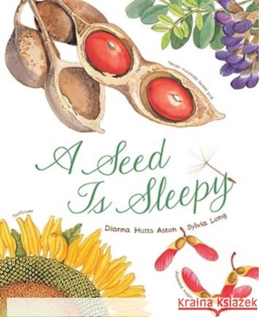 A Seed Is Sleepy  9781452131474 Chronicle Books - książka