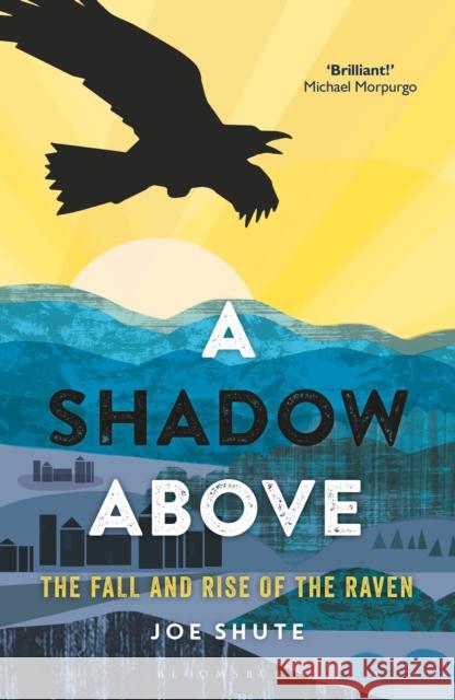 A Shadow Above: The Fall and Rise of the Raven Joe Shute 9781472940292 Bloomsbury Wildlife - książka