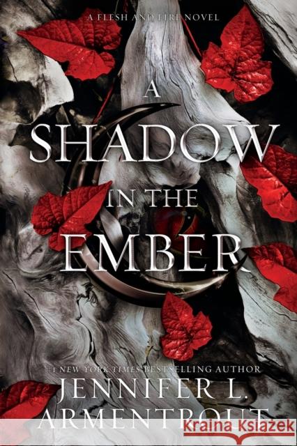 A Shadow in the Ember Jennifer L. Armentrout 9781952457791 Blue Box Press - książka