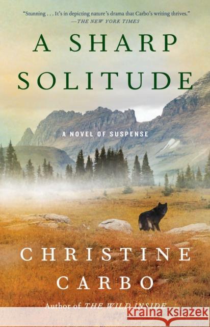 A Sharp Solitude: A Novel of Suspense Christine Carbo 9781501156335 Atria Books - książka