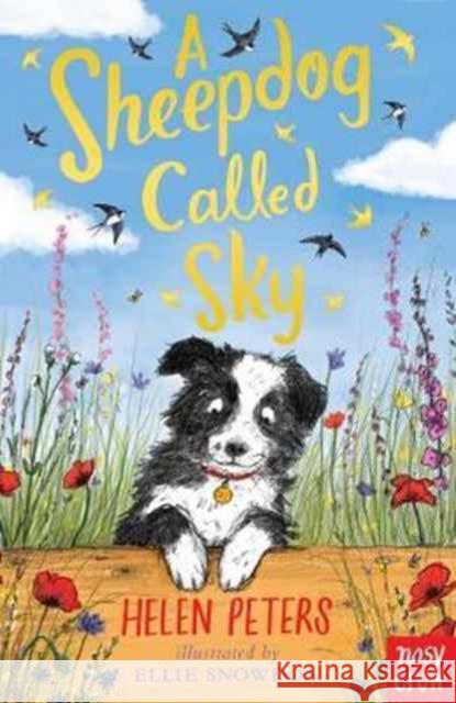 A Sheepdog Called Sky Peters, Helen 9780857639110 Nosy Crow Ltd - książka