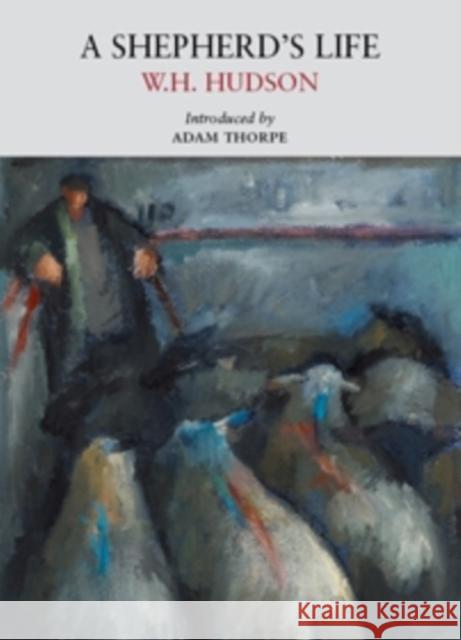 A Shepherd's Life W. H. Hudson, Howard Phipps 9780956254573 Little Toller Books - książka