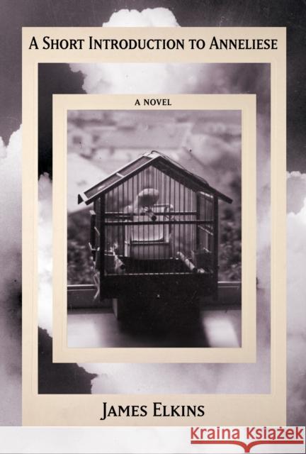 A Short Introduction to Anneliese James Elkins 9781961884434 Unnamed Press - książka