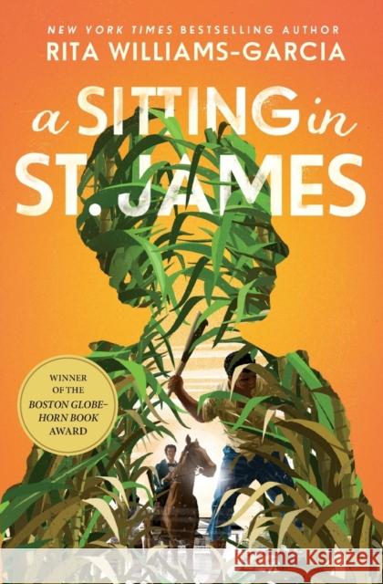 A Sitting in St. James Rita Williams-Garcia 9780062367310 HarperCollins Publishers Inc - książka