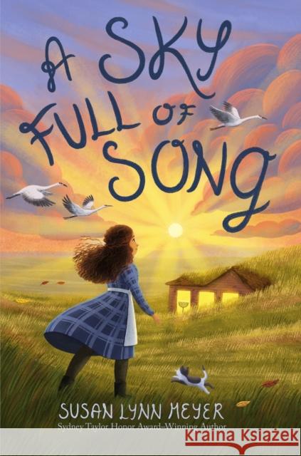 A Sky Full of Song Susan Lynn Meyer 9781454947868 Union Square & Co. - książka