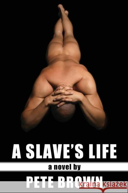 A Slave's Life Pete Brown 9781935509141 TURNAROUND - książka