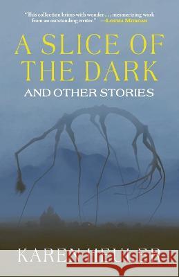 A Slice of the Dark and Other Stories Karen Heuler 9781933846224 Fairwood Press LLC - książka
