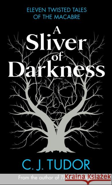 A Sliver of Darkness C. J. Tudor 9780241582633 Penguin Books Ltd - książka